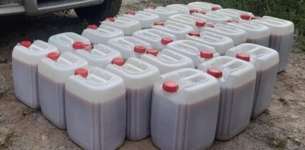 Probiotics for Fish Farming